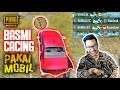 TABRAK SEMUA CACING ERANGLE - PUBG MOBILE INDONESIA