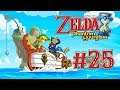Zelda Phantom Hourglass Ep. 25 - La historia del Reino de Cobble