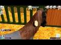 EquiMagic-Galashow of Horses#Part2 Pferdepflege/Let´s Play