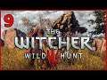 Koke Plays The Breathtaking Witcher 3 - Stream Vod - Episode 9