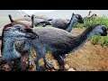 Super Família de Orodromeus + Migração da Seca! Velociraptores Vorazes | The Isle Realismo | (PT/BR)
