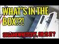 VLOG - What's in the box?  / Used Japanese Sega New Netcity