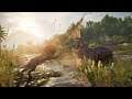Assassin's Creed Origins #7. Фармим, охотимся, прокачиваемся