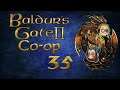 Baldur's Gate 2 co-op 36