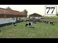 Farming Simulator 19 ДВА НОВЫХ КОРОВНИКА Фермер в с  ЯГОДНОЕ # 77