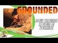 Grounded Esplorazione formicaio e uova di formiche ep 7 ITA