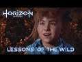 HORIZON ZERO DAWN Gameplay Walkthrough Lessons of the Wild FULL GAME [4K 60FPS]