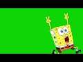 Spongebob Green Screen Animation