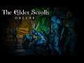 The Elder Scrolls Online - Блохастый воришка.