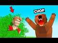 BEAR ATTACKED ME WHILE I WAS CAMPING IN DOREST