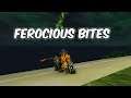Ferocious Bites - Feral Druid PvP  - WoW BFA 8.1