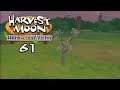 Let's Play Harvest Moon: Hero of Leaf Valley 61: Clearing