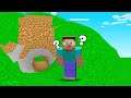Minecraft BUT EVERYTHING Is ROUND! (So Weird)