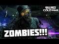 Playing some Call of Duty ZOMBIES  - Come Hang out | 8-Bit Eric