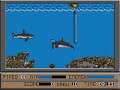 RainbowWarrior v1 1 mp4 HYPERSPIN COMMODORE AMIGA GAME NOT MINE VIDEOS
