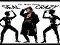 Seal Crazy Col. Madd Remix - An Amiga Module