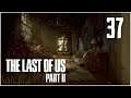 The Last of Us Part II - Entering Snake Territory - 37