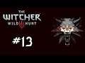 The Witcher 3 : Wild Hunt Türkçe Bölüm 13 Baron'un Hikayesine Dönüş
