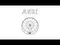 Alveole - PlayStation 5 / PlayStation 4 Release Trailer