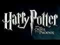 Библиотека (Harry Potter and the Order of the Phoenix) #3