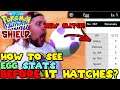 How to see your EGGS STATS before it HATCHES in Pokemon Sword & Shield