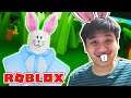 JADI KELINCI DAN MENGUASAI DUNIA - Roblox Indonesia Bunny Simulator
