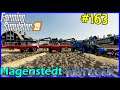 Let's Play FS19, Hagenstedt #163: Combine To Combine To Wagon To Trailer!