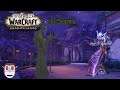 Let's Play World of Warcraft: SL Nachtgeborener Krieger 50-60 [Deutsch] #30 Die Warnung