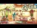My Cat Club Gameplay - Android Ios