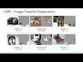 Explainable AI, Session 4: Intro to LIME