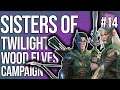 Sisters of Twilight Campaign #14 | Total War: Warhammer 2