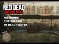 We broke the Blackwater saloon Red Dead Online Beta