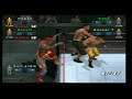 WWE Smackdown VS Raw 2006 Being the Referee