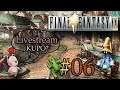 #06 Livestream - Final Fantasy 9 (mit FaceCam) Blind