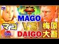 【スト5】マゴ（かりん) 対 ウメハラ(ガイル)【SFV】Mago(Karin) VS Daigo(Guile)🔥FGC🔥