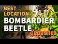 Best Bombardier Beetle Grounded Farm Location