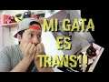 COCO: LA GATA TRANS!! 😳😳 (HISTORIA REAL)