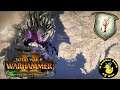 DRYCHA Mortal Empires Campaign. The Twisted & The Twilight DLC Livestream