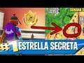 ESTRELLA OCULTA FORTNITE TEMPORADA X SEMANA 3 | Estrella Secreta Temporada 10 Semana 3