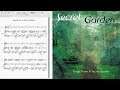 Song From A Secret Garden ~ Violin Cover