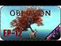 Гильдейский маг не обученный магии - Стрим - The Elder Scrolls IV: Oblivion [S-2, EP-12]