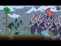 Using Mystic Frogs against a Space Crab... Terraria Calamity Summoner Let's Play! #33