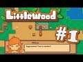 Welcome to AntsyPantsy! : Littlewood #1