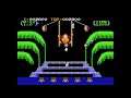 Game Over: Donkey Kong 3 (NES)