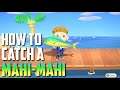 HOW TO CATCH A MAHI-MAHI - Animal Crossing New Horizons