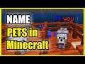 How to name your PETS in Minecraft (Dogs, Horse, Pigs, Cat)