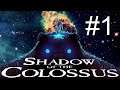 Shadow of the Colossus PS4 Gameplay Español COMENTADO Coloso 1