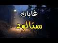قصة غابة ستالود الغامضه