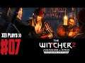 Let's Play The Witcher 2: Assassins of Kings (Blind) EP7