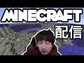 11/16/2021 マイクラ配信 Minecraft stream